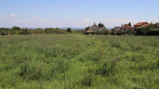 Randonnées : le GR 169 bientôt inauguré au sein de la métropole de Lyon !