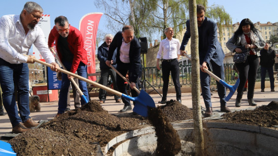 Quinze érables plantés dans le 8e arrondissement de Lyon : “Il faut développer massivement la végétalisation”