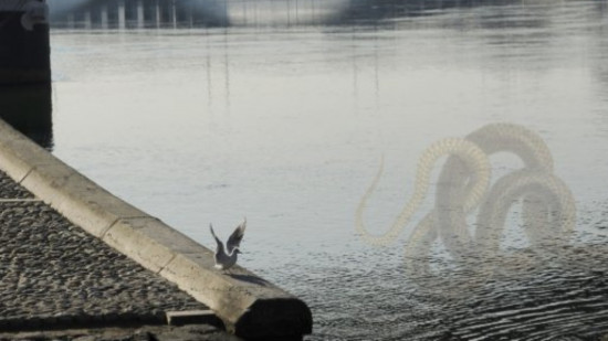 Les poissons d'avril de Lyon : des drôles et des ratés