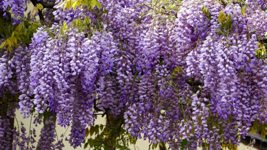 Le Mag des bons plans du week-end à Lyon (9 et 10 avril)