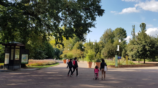 Chute d’arbre au Parc de la Tête d’Or à Lyon : les jours de la mère et de son bébé ne sont plus en danger Chute d’arbre au Parc de la Tête d’Or à Lyon : les jours de la mère et de son bébé ne sont plus en danger
