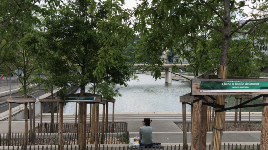 Lyon : un budget de 141 millions d’euros pour préserver la biodiversité en ville