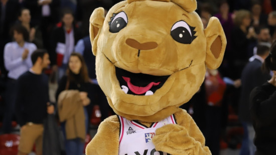 Basket : l'ASVEL féminin entame les Playoffs face à Roche Vendée Basket : l'ASVEL féminin entame les Playoffs face à Roche Vendée