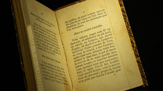 Le Mag des bons plans du week-end à Lyon (14 et 15 mai)