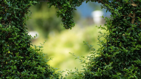 Le Mag des bons plans du week-end à Lyon (11 et 12 juin)