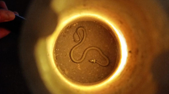 Lyon : un serpent découvert à la préfecture, les sapeurs-pompiers mobilisés - VIDEO