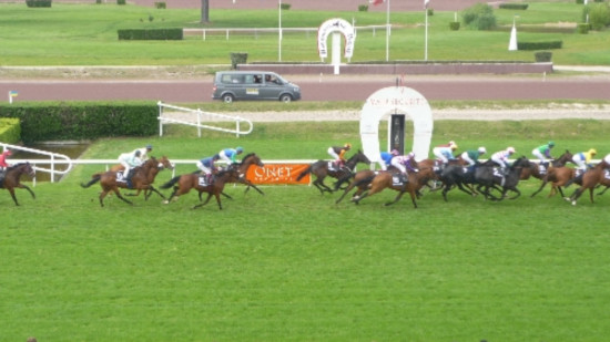 Près de Lyon : des courses hippiques déplacées pour cause de fortes chaleurs