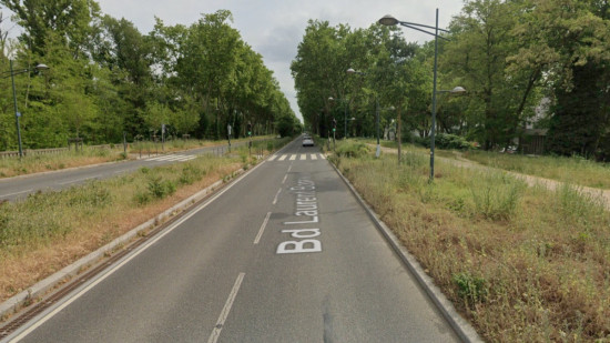 Villeurbanne : un m&eacute;got jet&eacute; &agrave; l'origine d'un feu de v&eacute;g&eacute;tation pr&egrave;s de la Doua ?