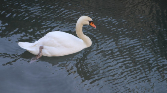 Le Mag des bons plans du week-end à Lyon (2 et 3 juillet)