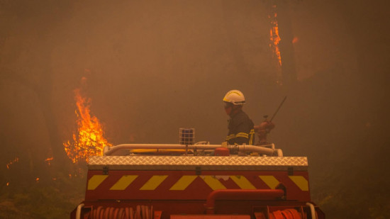 Incendies en Gironde : 50 pompiers du Rhône en renfort alors que plus de 15 000 hectares ont déjà brûlé