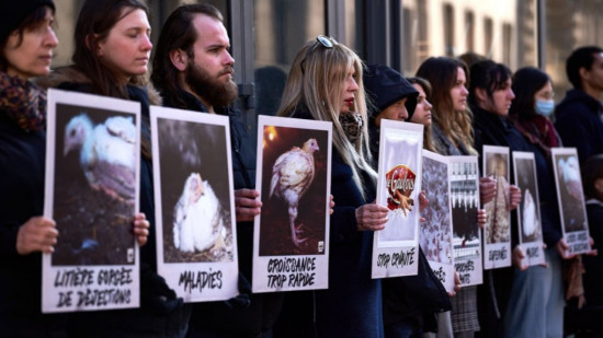 L214 à l’assaut des rues de Lyon ce samedi pour dénoncer Le Gaulois L214 à l’assaut des rues de Lyon ce samedi pour dénoncer Le Gaulois