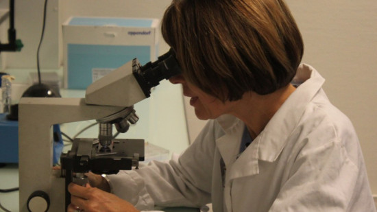 Un test innovant du laboratoire lyonnais bioMérieux détectant le stress rénal bientôt disponible aux Etats-Unis