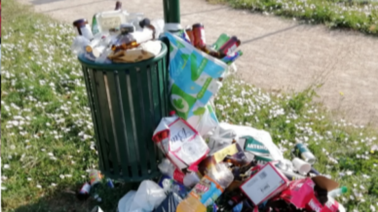 Francheville : une "politique suicidaire de sous-traitance" à l’origine de l’insalubrité des jardins municipaux ?