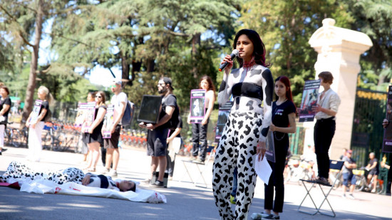 Lyon : un défilé de vegans en lingerie ce samedi