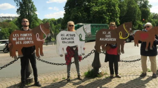 Lyon : des associations de protection animale souhaitent l’arrêt des balades en poney au parc de la Tête d’Or