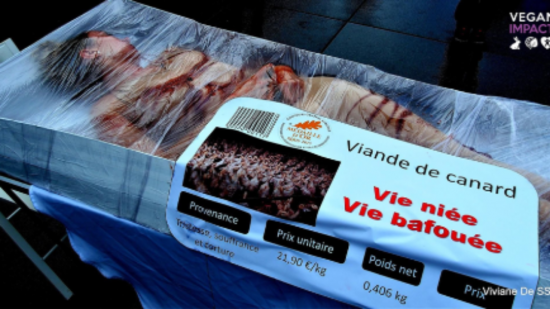 Lyon : des corps dans des barquettes pour inciter au bien-être animal