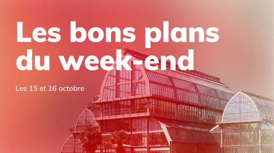 Le Mag des bons plans du week-end à Lyon (15 et 16 octobre)