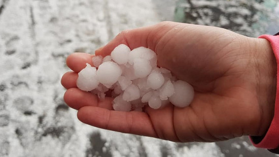 Dans la région : un fonds d'urgence grêle en Savoie Dans la région : un fonds d'urgence grêle en Savoie