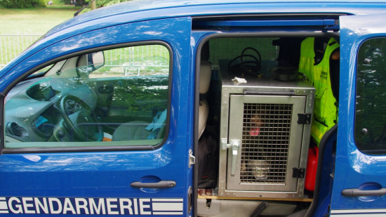 Dans la région : un corps retrouvé par des chasseurs Dans la région : un corps retrouvé par des chasseurs