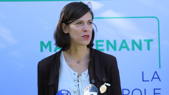 Affaire Sandrine Runel : une pièce remise dans la machine ce jeudi au conseil municipal de Lyon ?