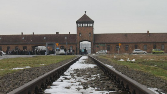 Pourquoi la Métropole de Lyon annule le voyage des collégiens à Auschwitz ? L'opposition s'interroge
