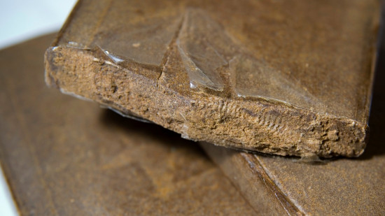 Givors : le chef du trafic de drogues condamné à Lyon mais toujours libre à Dubaï