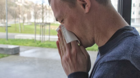 Le Rhône en alerte rouge aux allergies pour les pollens d'aulne