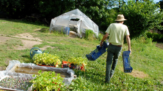 Perfluorés : la confédération paysanne invite les agriculteurs du Rhône à refuser les inspections de la Draaf