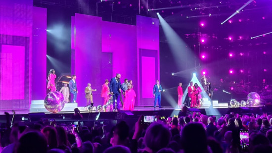 Tourné à Lyon, le spectacle des Enfoirés diffusé ce vendredi sur TF1