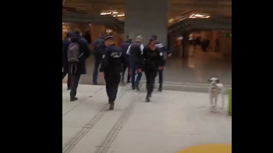 Eric Zemmour chahuté à la gare de Lyon Part-Dieu : "Casse-toi de notre ville" Eric Zemmour chahuté à la gare de Lyon Part-Dieu : "Casse-toi de notre ville"
