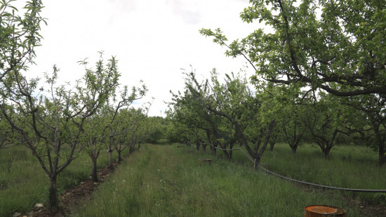 Auvergne-Rhône-Alpes : le coup de pouce de Laurent Wauquiez à la filière fruit Auvergne-Rhône-Alpes : le coup de pouce de Laurent Wauquiez à la filière fruit