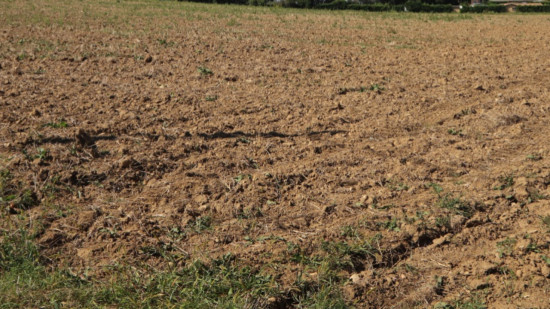Caluire-et-Cuire : Truffaut renonce à son projet, la Ferme urbaine va pouvoir s’agrandir