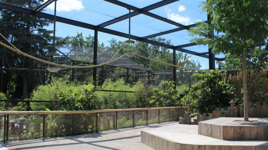 Arrêt du chantier de la forêt d'Asie : la Ville de Lyon indemnisera a minima Eiffage