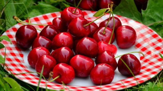 Près de Lyon : la cerise de nouveau à l'honneur d'un festival ! Près de Lyon : la cerise de nouveau à l'honneur d'un festival !
