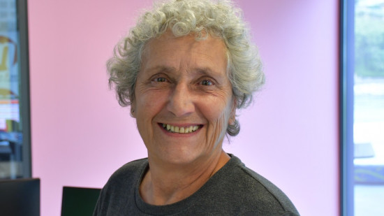 Geneviève Brichet : "Sur la démocratie citoyenne, les Verts font moins bien qu'Emmanuel Macron" Geneviève Brichet : "Sur la démocratie citoyenne, les Verts font moins bien qu'Emmanuel Macron"