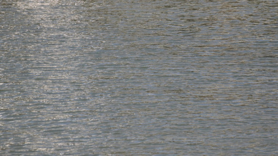 Près de Lyon : quantité excessive de perfluorés découverte au captage d’eau de Meyzieu Près de Lyon : quantité excessive de perfluorés découverte au captage d’eau de Meyzieu