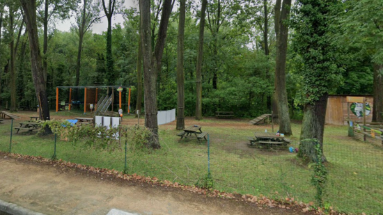 Près de Lyon : la chute d’une branche d’arbre blesse une femme et ses trois enfants Près de Lyon : la chute d’une branche d’arbre blesse une femme et ses trois enfants