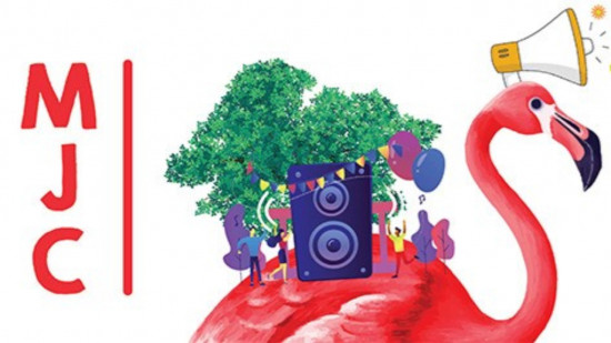 Emeutes à Lyon : le festival Acordanse et le feu d'artifice annulés dans le 8e