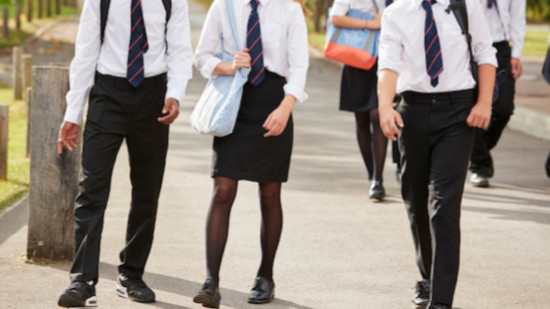 Uniforme testé en Auvergne-Rhône-Alpes ? EELV accuse Laurent Wauquiez d'être "au garde à vous devant l'extrême-droite" Uniforme testé en Auvergne-Rhône-Alpes ? EELV accuse Laurent Wauquiez d'être "au garde à vous devant l'extrême-droite"