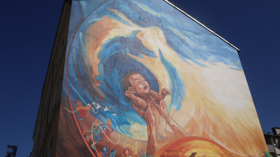 Fusion Oullins-Pierre-Bénite : le référendum de l'opposition maintenu, la mairie attaquée