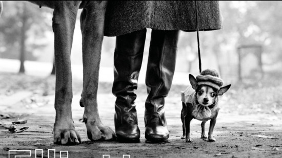 Lyon : Elliott Erwitt, une expo qui a du chien