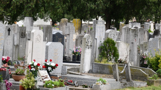 Lyon : la mairie débloque 8 millions d'euros pour des enterrements plus écolos et plus accessibles