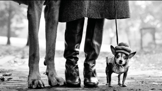 Décès d’Elliott Erwitt : l’expo consacrée au photographe à Lyon va proposer une nocturne gratuite
