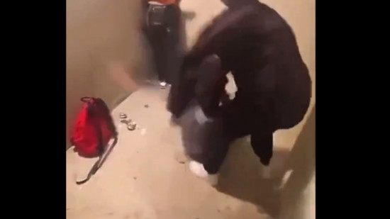 Vidéo de l'agression ultraviolente d'une ado à Lyon : "les autorités compétentes saisies" selon la préfecture Vidéo de l'agression ultraviolente d'une ado à Lyon : "les autorités compétentes saisies" selon la préfecture