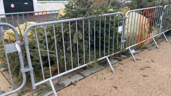 Que faire de son sapin de Noël ? Les 198 points de collecte de Lyon et ses environs Que faire de son sapin de Noël ? Les 198 points de collecte de Lyon et ses environs