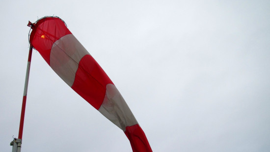 Vents violents : réouverture des parcs de Lyon ce lundi après-midi