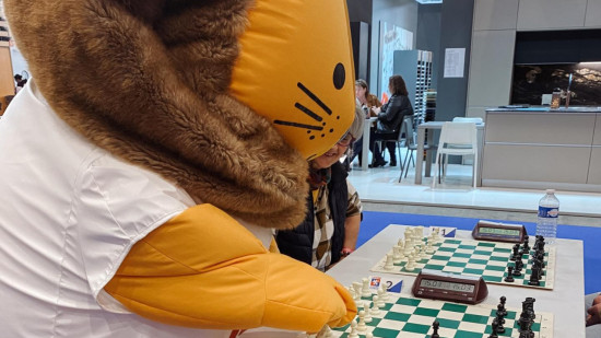 Fréquentation en hausse pour l'édition 2024 de la Foire de Lyon Fréquentation en hausse pour l'édition 2024 de la Foire de Lyon