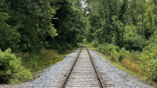 Pas de ligne Lyon-Bordeaux : Railcoop sera liquidé fin avril