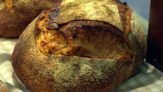 Près de Lyon : des crottes de rats dans la boulangerie, la préfecture sévit Près de Lyon : des crottes de rats dans la boulangerie, la préfecture sévit
