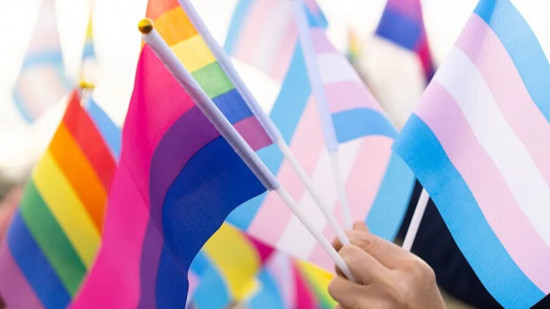 Rassemblement à Lyon pour les droits trans : "Il faut que nous arrêtions d’être vingt ans en retard"